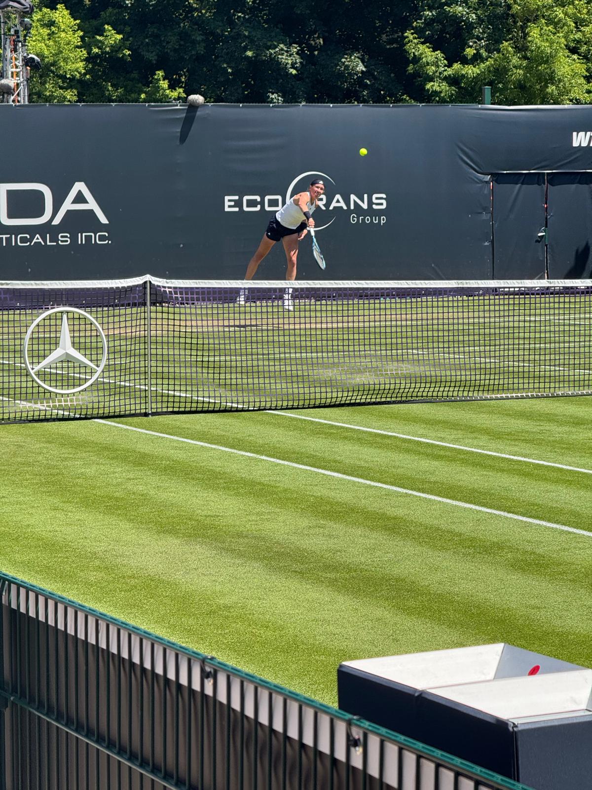 Jak przygotowania do Wimbledonu 2026 zmieniają strategie treningowe tenisistów?